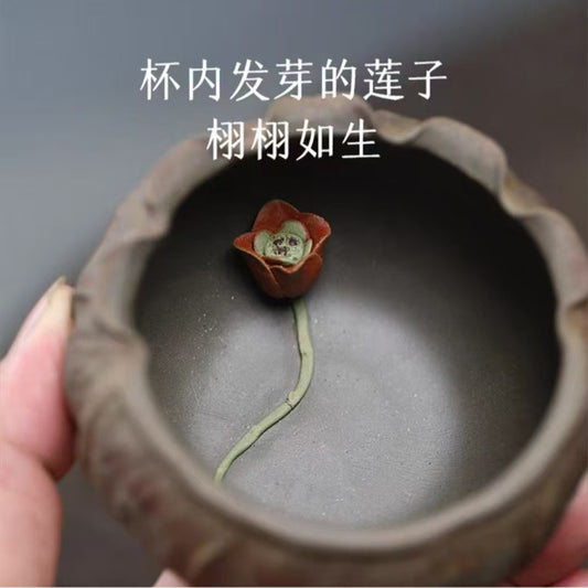 莲子主人杯宜兴紫砂杯莲花莲子品茗杯子大号大容量原矿段泥创意杯