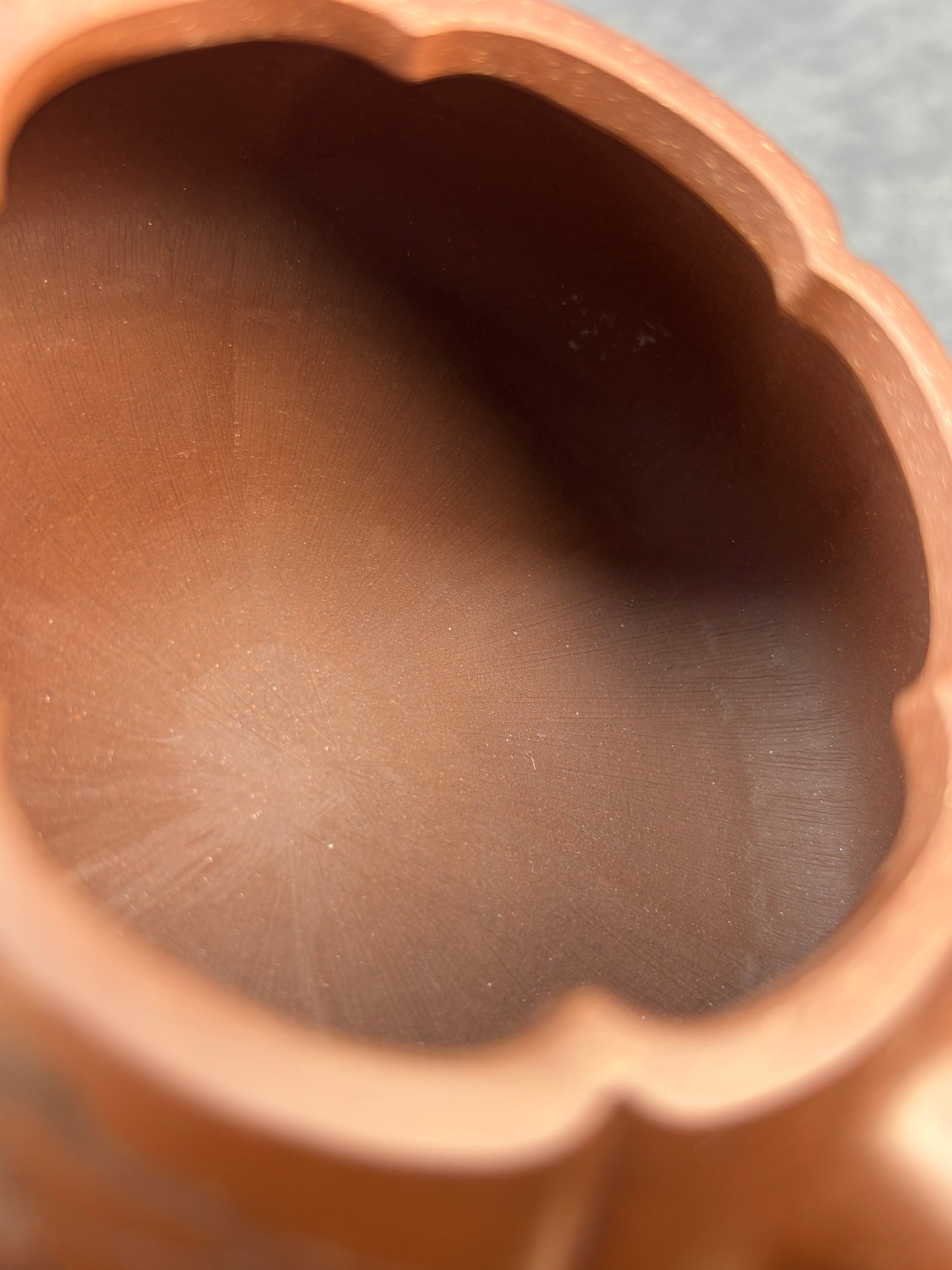 程辉大师《寅春石瓢》收藏级重器 原矿极品底槽清·330cc