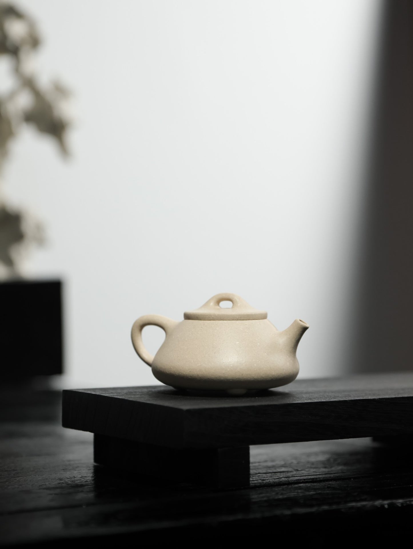 文瓢 | 【优质白段·传统手制·半手工·容量100cc·9孔出水·民间实力派作品】