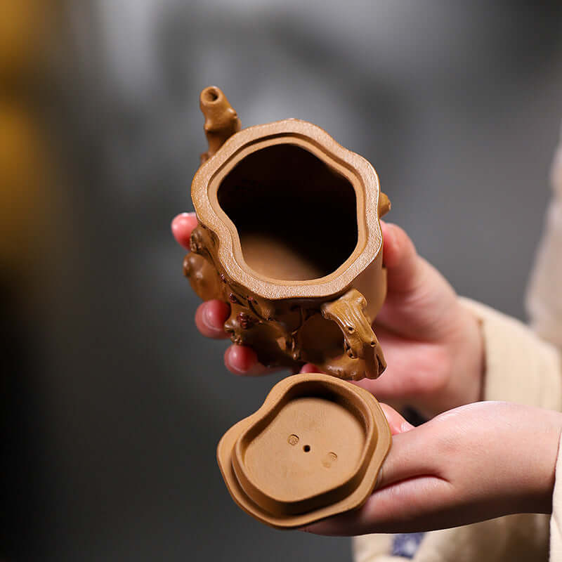 Handmade Yixing purple sand teapot held open, showcasing its intricate design and unique shape.