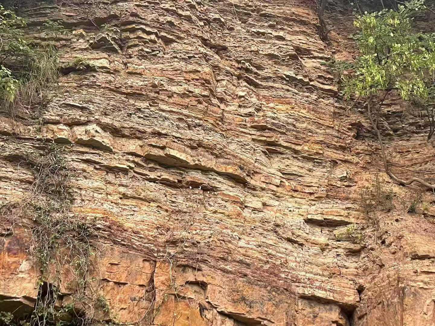 ZishaTeapotChina