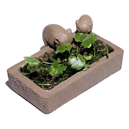 Handmade Yixing purple sand tea pet with two pigs and greenery in a rectangular planter for tea ceremony decor.