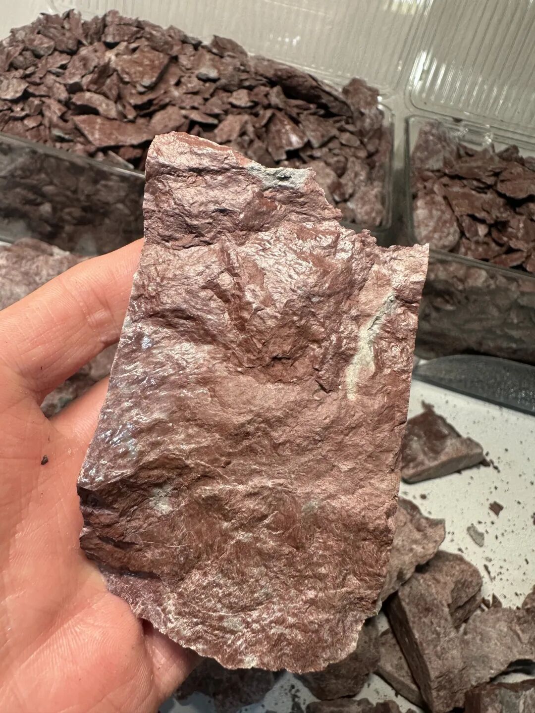 大地双珍 纯红降坡泥与深井紫泥 子冶石瓢 作者 郑文荣 容量230cc 全手工制作