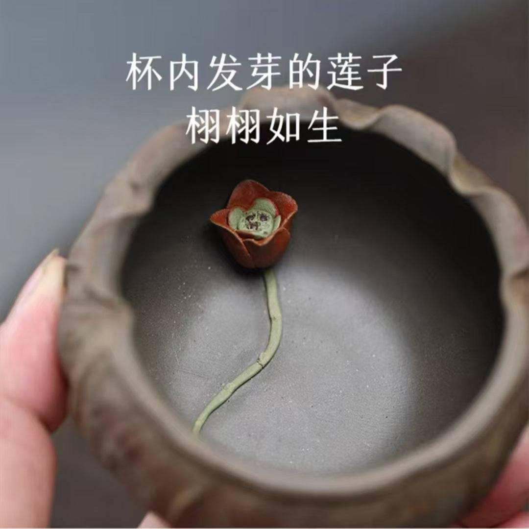 莲子主人杯宜兴紫砂杯莲花莲子品茗杯子大号大容量原矿段泥创意杯
