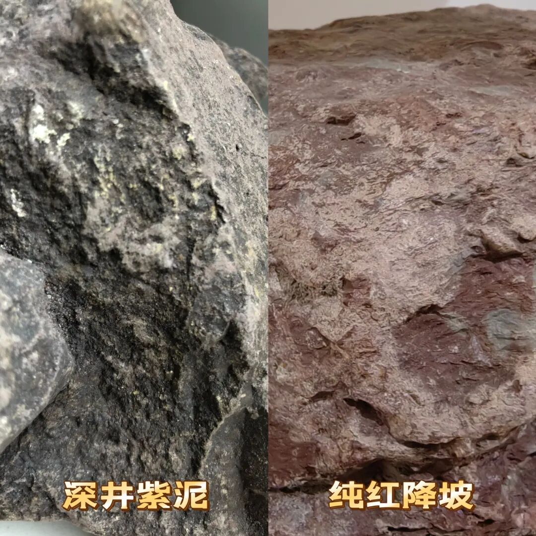 大地双珍 纯红降坡泥与深井紫泥 子冶石瓢 作者 郑文荣 容量230cc 全手工制作