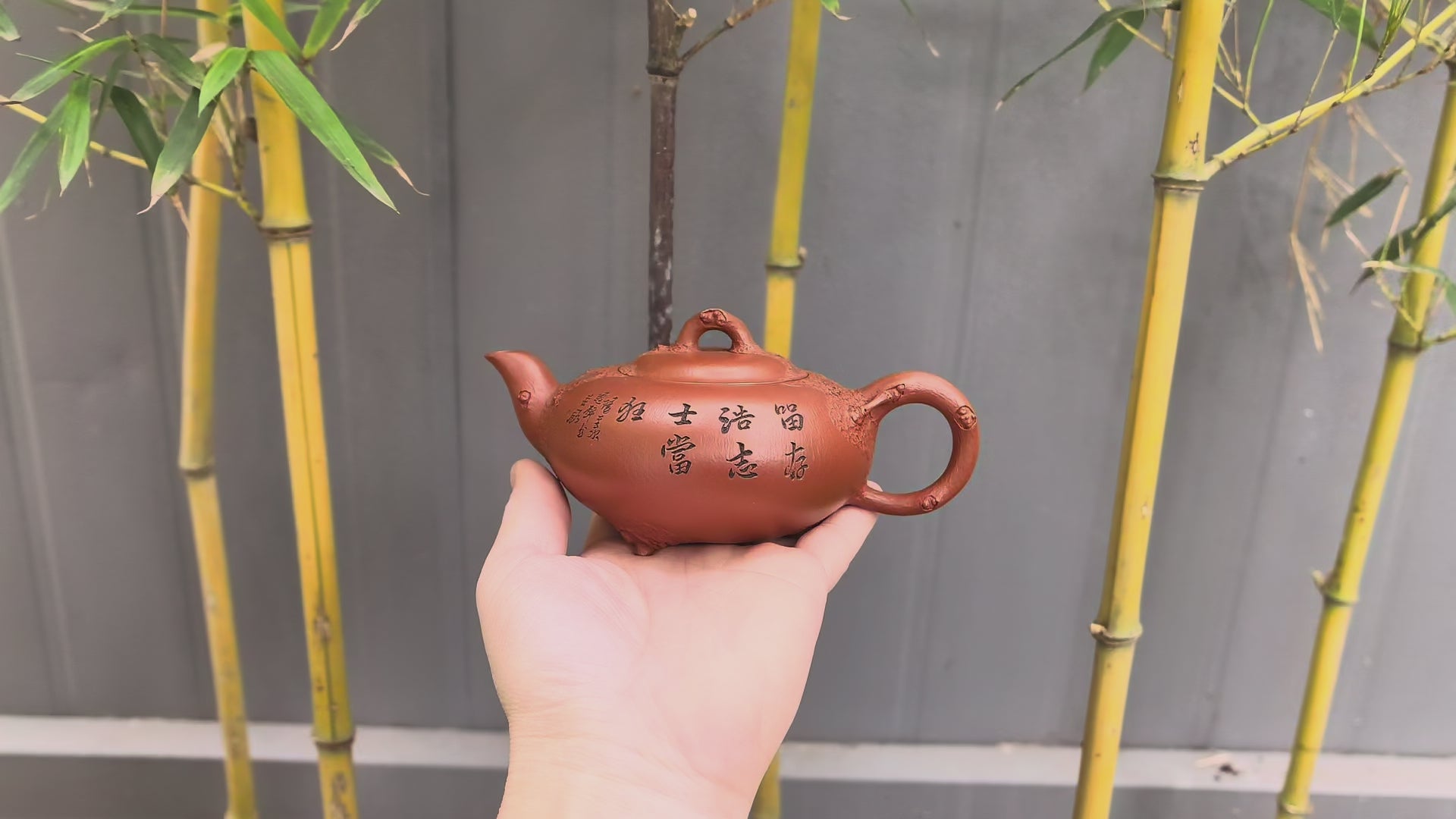 紫砂界的唯一·徐伟强原创景云松·拍卖5万同系列《卧月石瓢壶》原矿极品朱泥·200cc