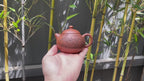 新品❤️中华神刀·刻绘巅峰 杨喜雨大师顶流臻品《文旦壶》原矿极品底槽清·160cc