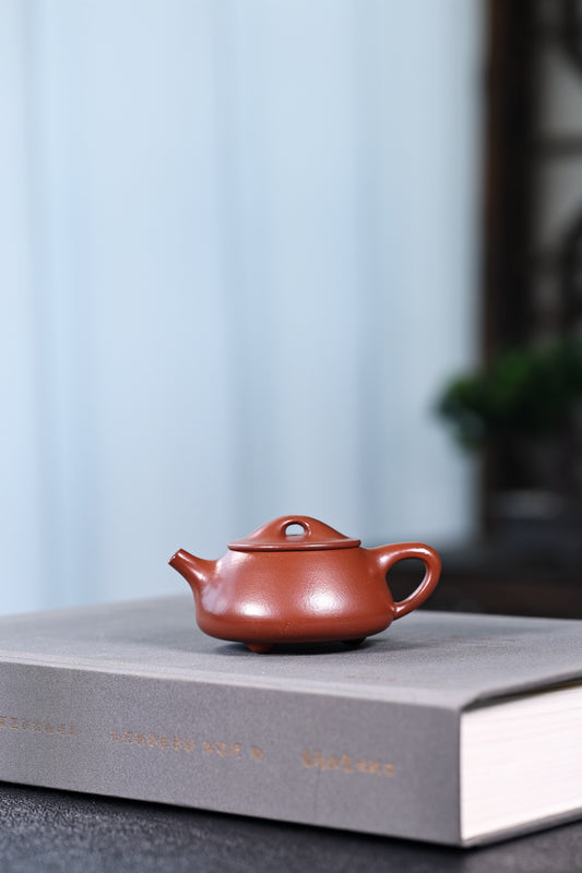 新品·景舟石瓢·小煤窑朱泥·容量100cc·作者蒋老师