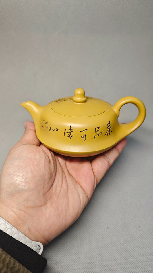 【曲壶】制壶汤莉（国家级工艺美术师） 泥料原矿黄金朱泥 容量 孔数20孔