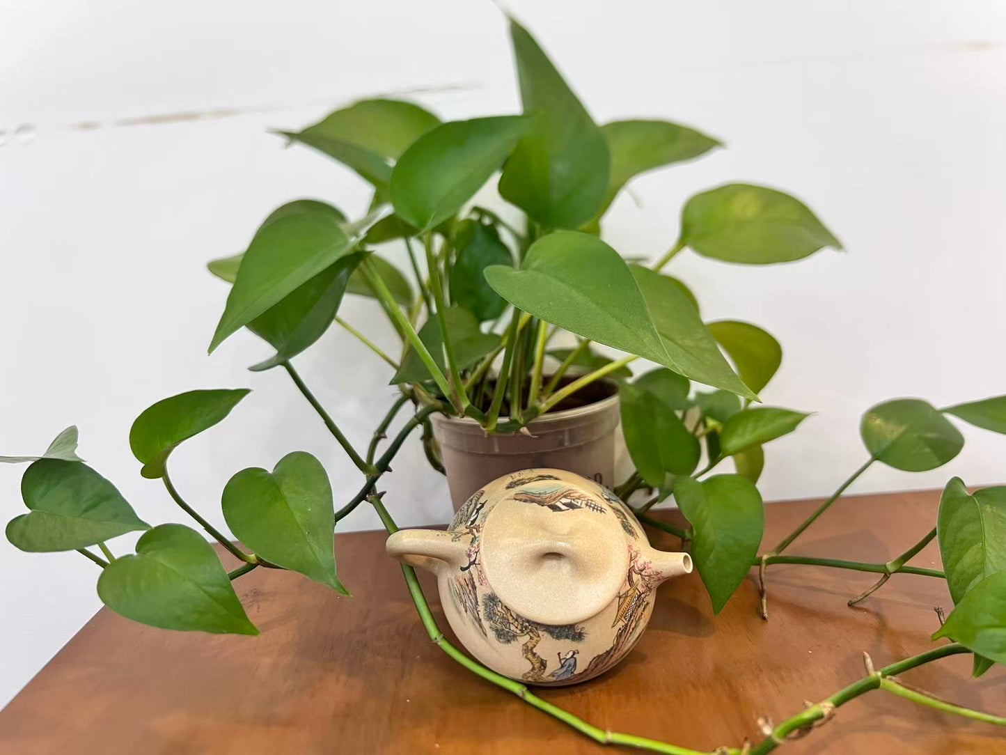 省大师之作 【景舟石瓢】徐南--江苏省陶瓷艺术大师 本山绿（老师家藏料 好泡养） 220cc