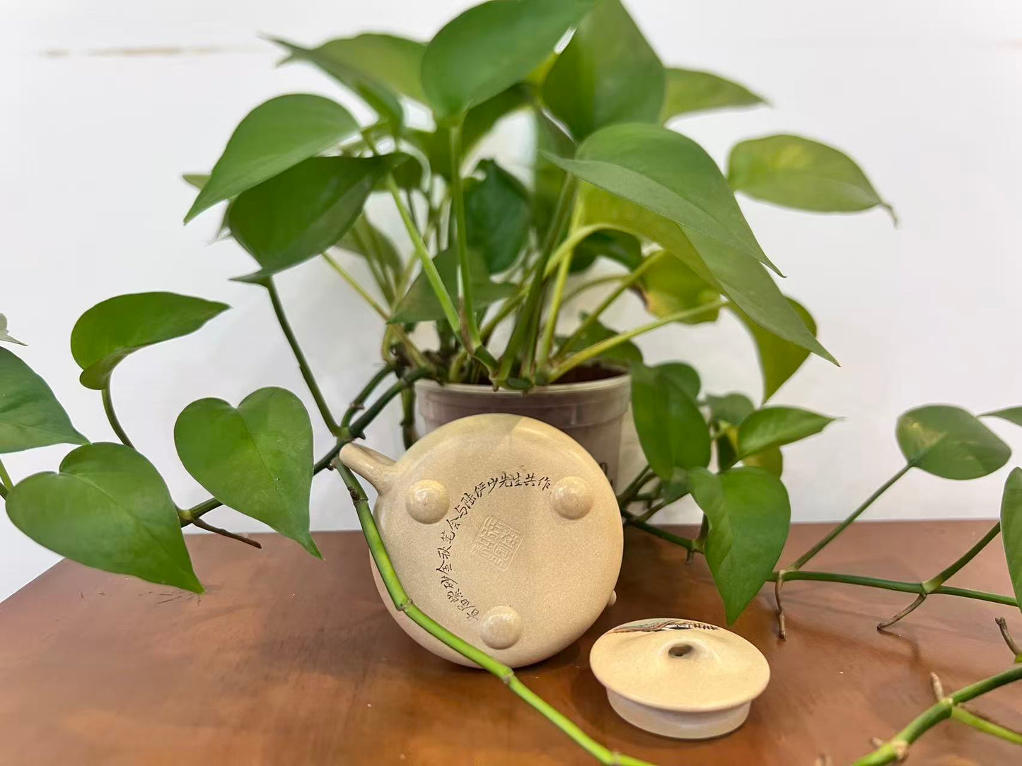 省大师之作 【景舟石瓢】徐南--江苏省陶瓷艺术大师 本山绿（老师家藏料 好泡养） 220cc