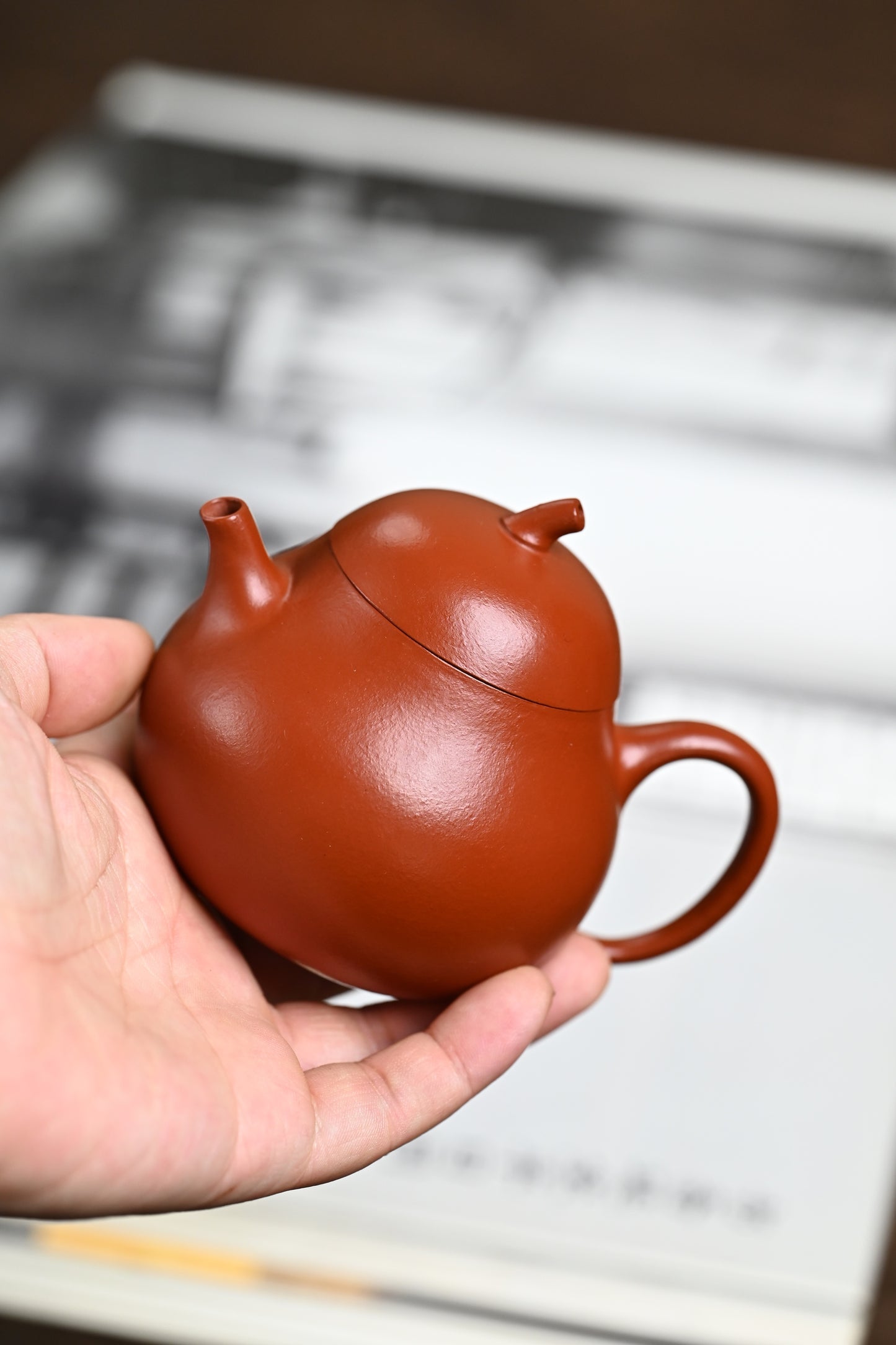 新品· 『茄瓜』 极品皱皮朱泥·容量150cc·7孔出水·内推·孙建芳（国家级工艺美术师）