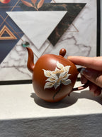 美人肩 朱泥170cc 不染