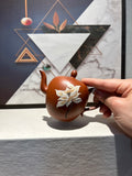 美人肩 朱泥170cc 不染