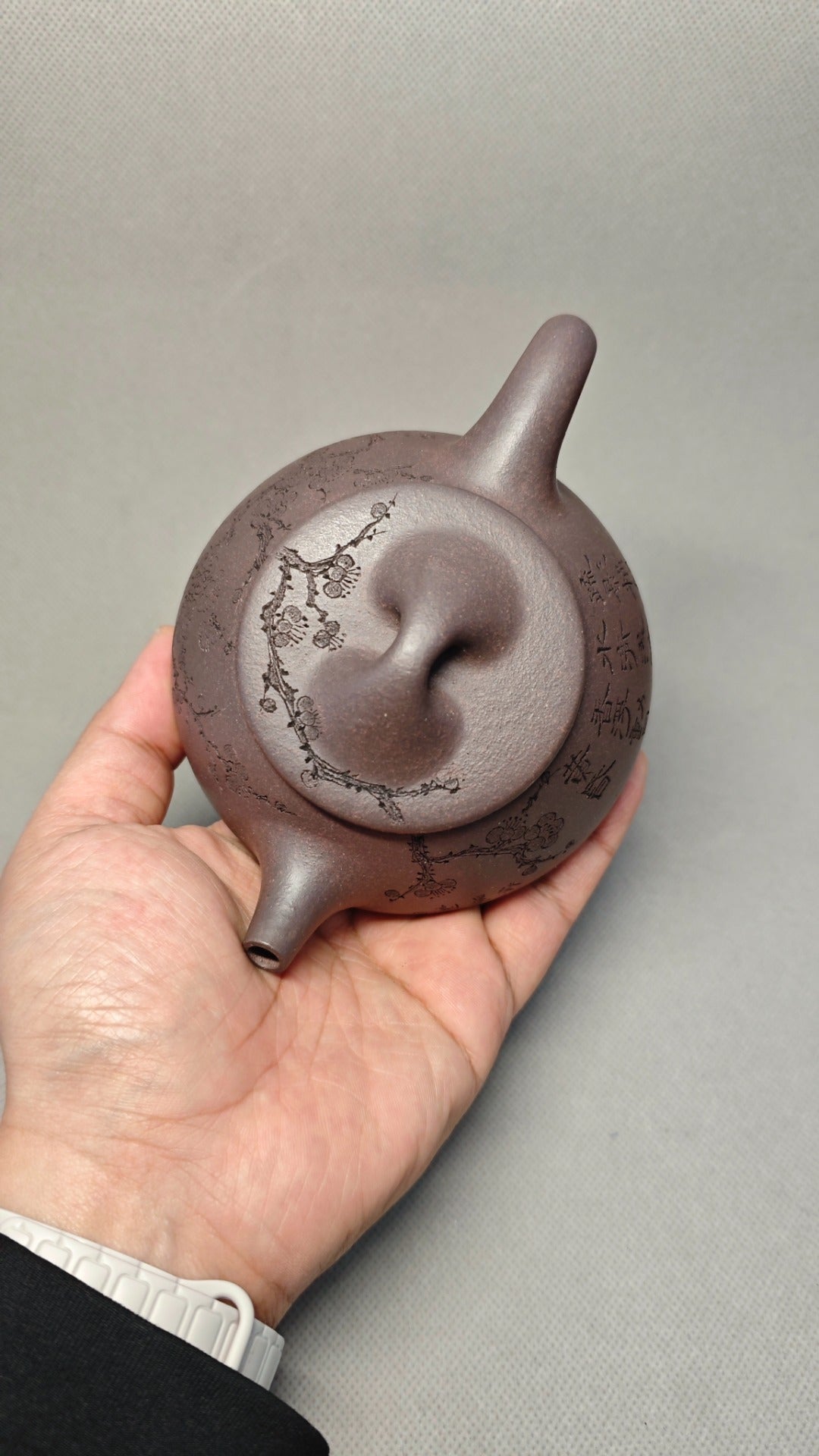 【景舟石瓢】  制壶：焦亚强   (国家级工艺美术师) 泥料：原矿青段泥 容量：270cc