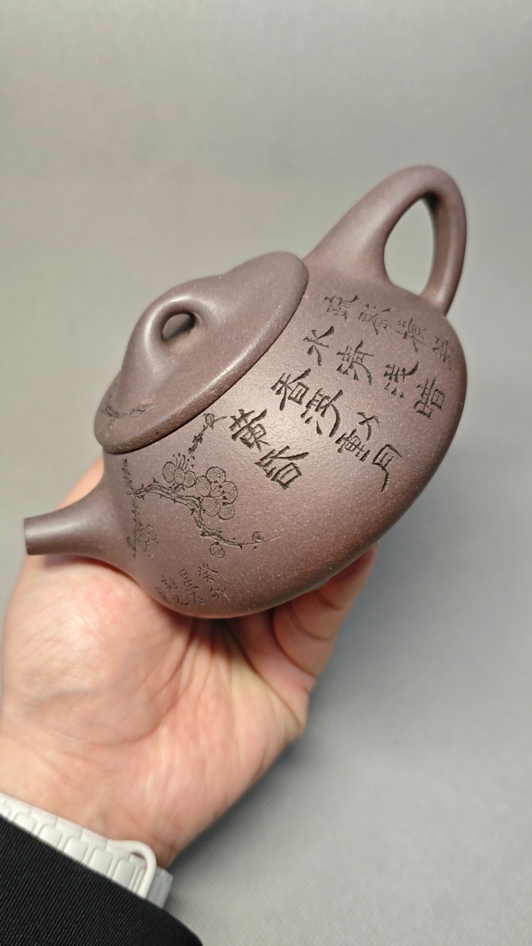 【景舟石瓢】  制壶：焦亚强   (国家级工艺美术师) 泥料：原矿青段泥 容量：270cc