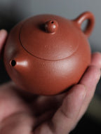 西施【优质老朱泥·传统手制·半手工小精品·经典传统器·100cc·9孔·民间实力派作品】