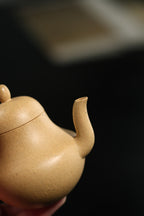 思婷 | 【家藏本山绿·传统手制·半手工·经典传统器·130cc·9孔·实力派作品】