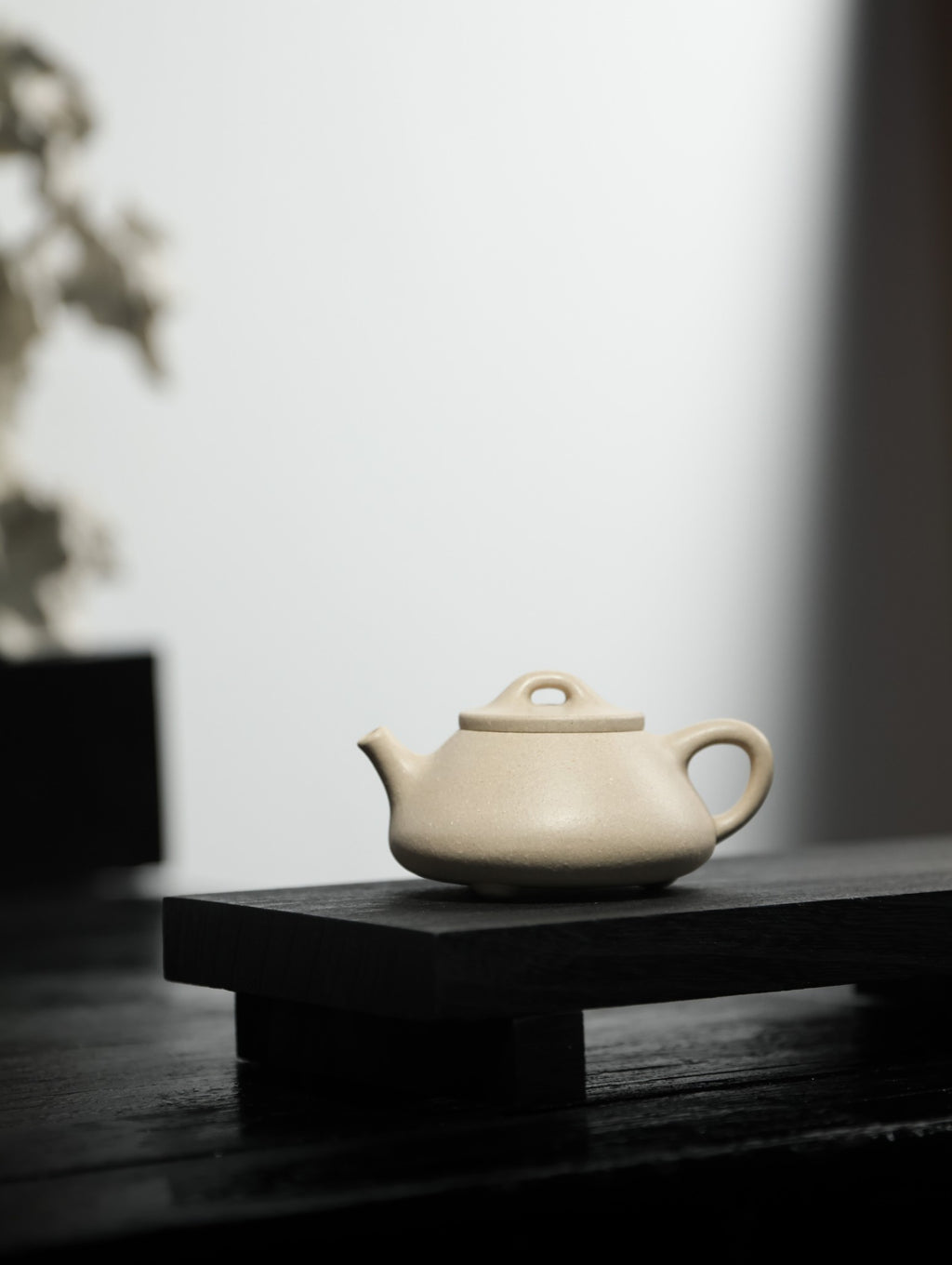 文瓢 | 【优质白段·传统手制·半手工·容量100cc·9孔出水·民间实力派作品】