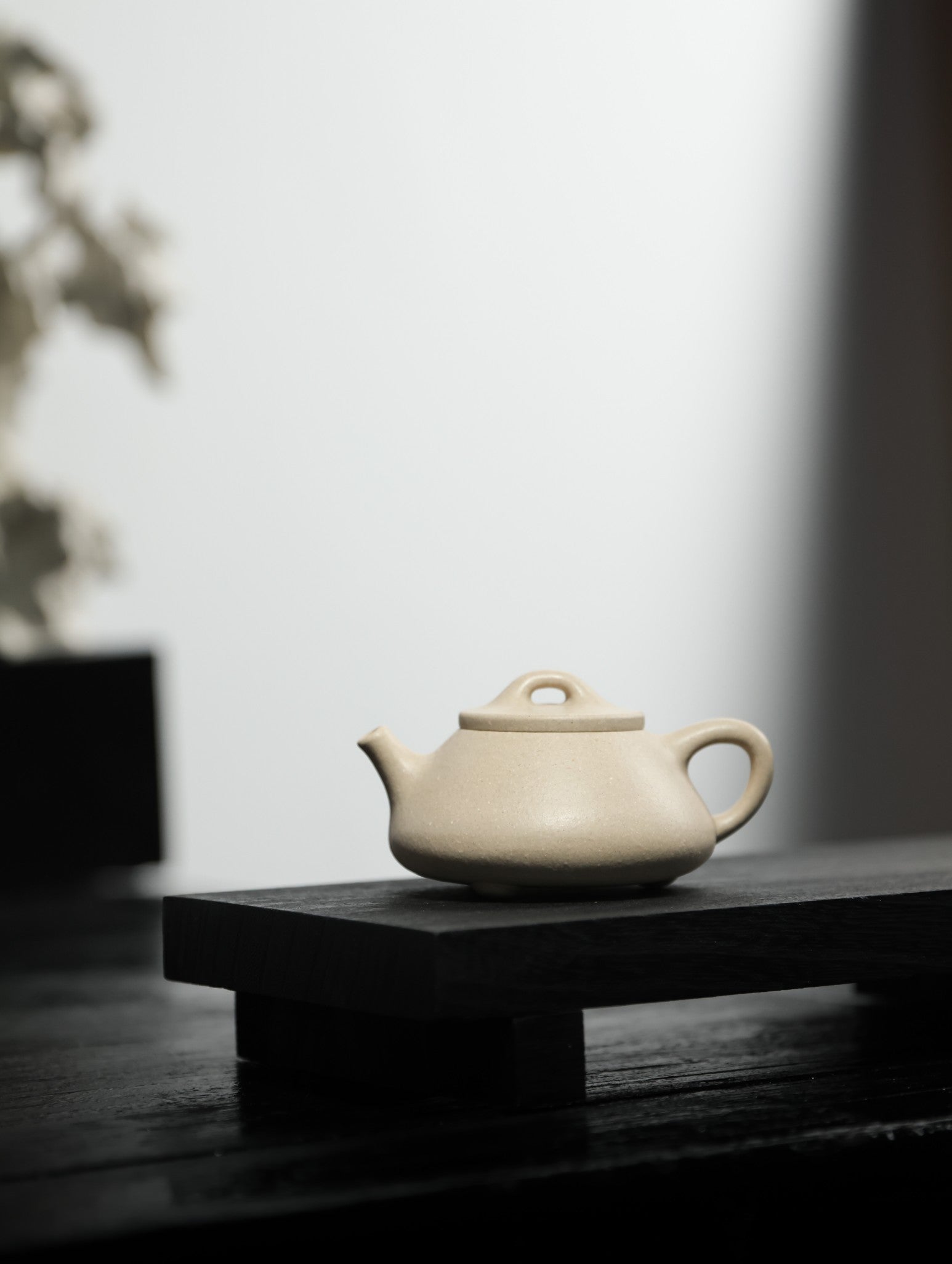 文瓢 | 【优质白段·传统手制·半手工·容量100cc·9孔出水·民间实力派作品】