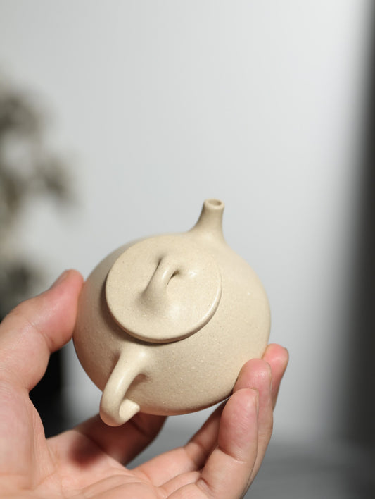 文瓢 | 【优质白段·传统手制·半手工·容量100cc·9孔出水·民间实力派作品】