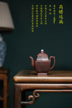 李昌鸿福利🧧紫砂泰斗传承·双国大师匠心之作【高瞻远漏壶】原矿优质紫泥·440cc