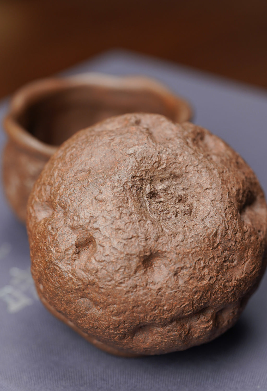 紫砂七老花器泰斗蒋蓉唯一传人佳作【龙吟供春套组壶】原矿极品黄金段柴烧·220cc
