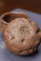 紫砂七老花器泰斗蒋蓉唯一传人佳作【龙吟供春套组壶】原矿极品黄金段柴烧·220cc