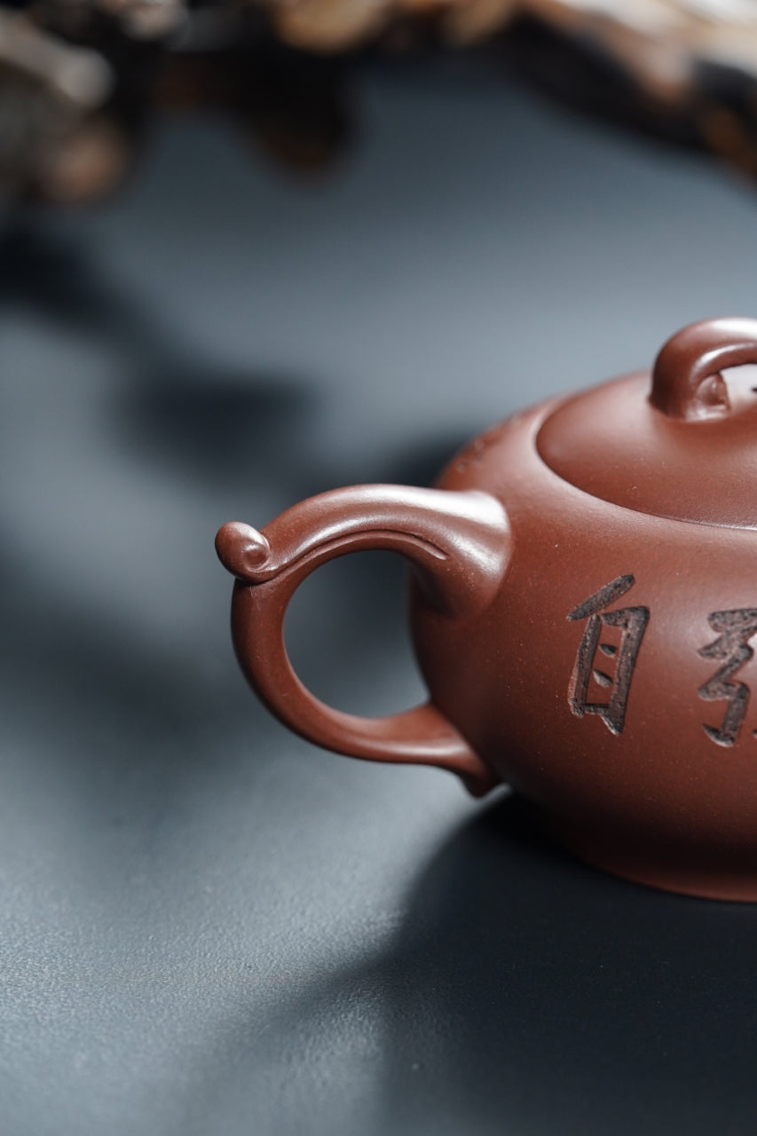 储立之大师 | 中国陶瓷艺术终身成就奖获得者重器【圆意壶】原矿优质特级紫泥 220cc