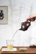 珍藏送礼级紫砂重器｜高级工艺美术师·许时娟 亲制【松趣石瓢壶】原矿优质老紫泥 370cc