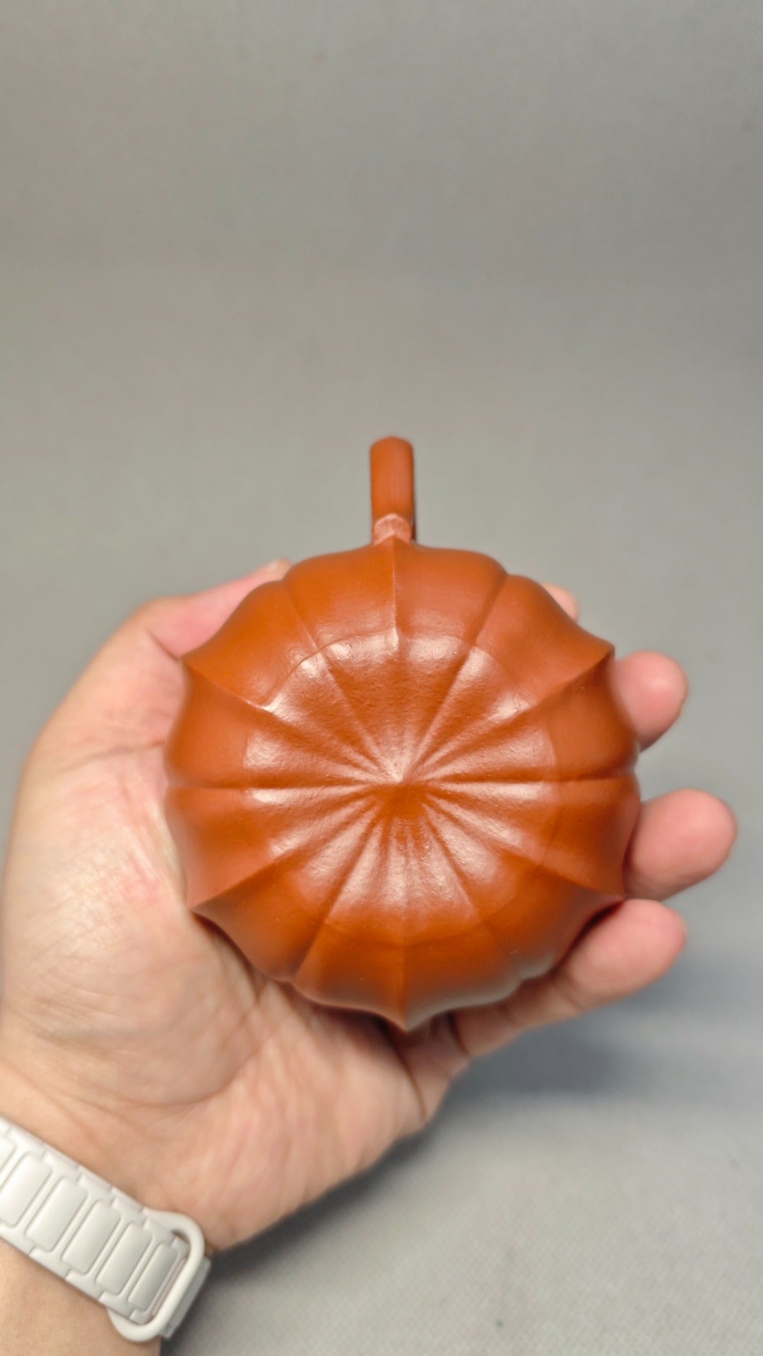 精工筋纹器 口盖不漏水 【筋纹君德】 泥料：原矿朱泥 容量：180cc 孔数：内推球孔