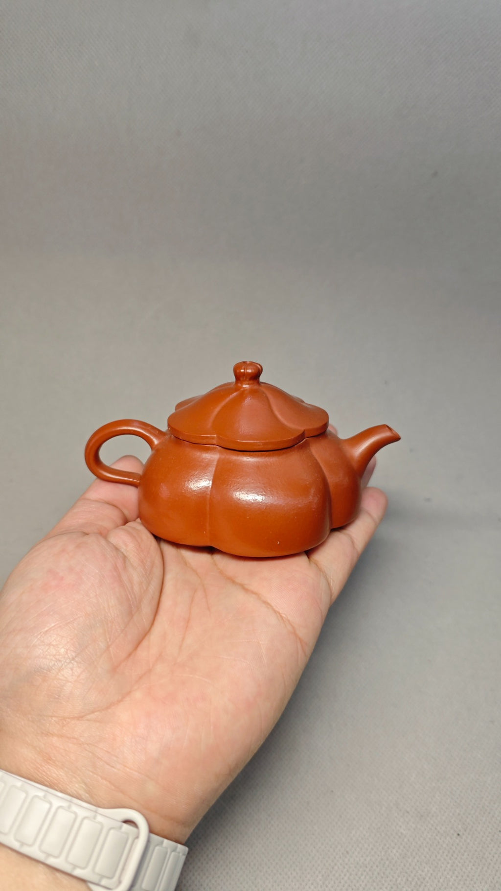 精工筋纹器 口盖不漏水 【筋纹合菱】 泥料：原矿朱泥 容量：100cc  孔数：7孔