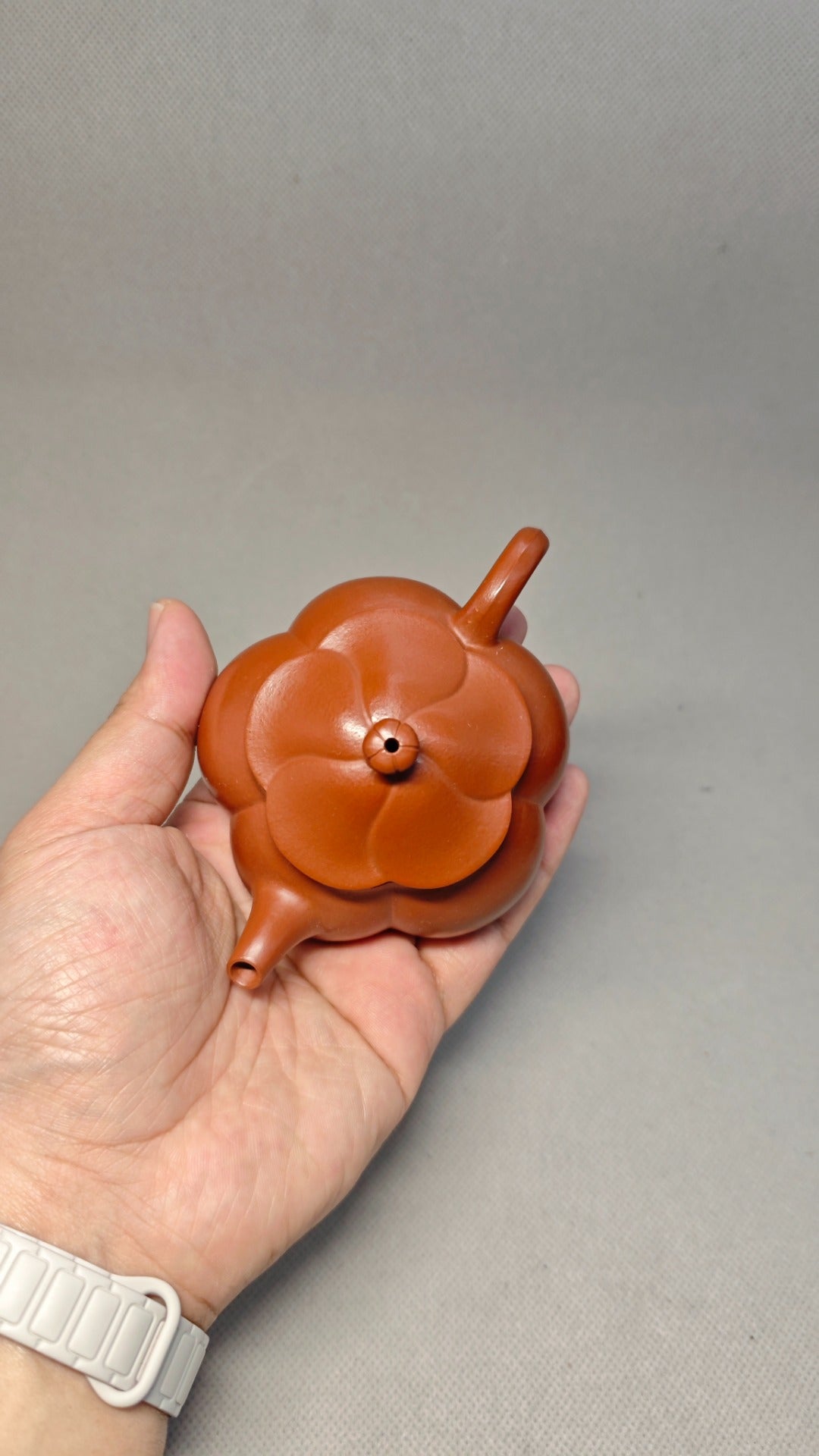 精工筋纹器 口盖不漏水 【筋纹合菱】 泥料：原矿朱泥 容量：100cc  孔数：7孔