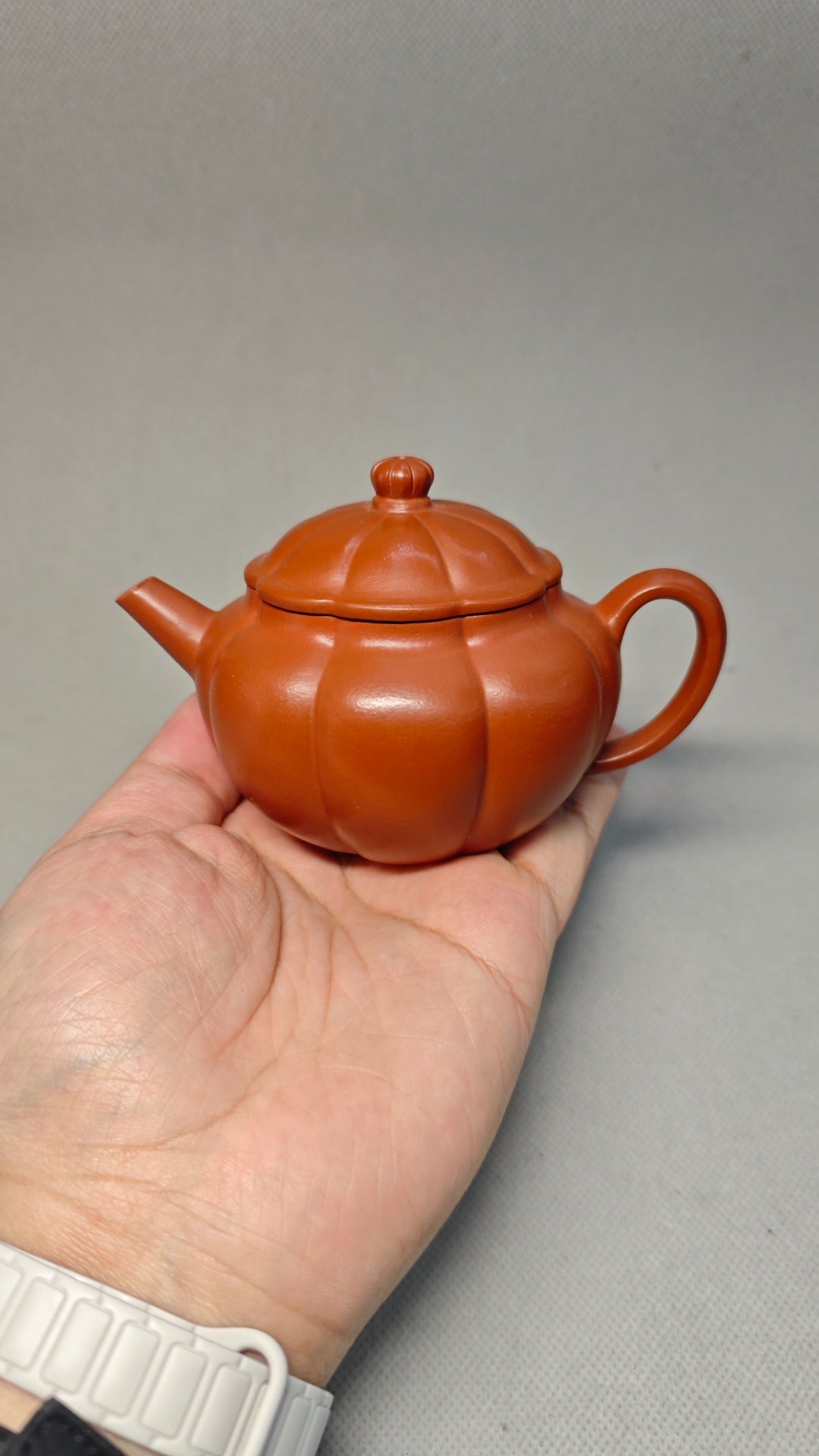 精工筋纹器 口盖不漏水【海棠】 泥料：原矿朱泥 容量：160cc 孔数：内推球孔