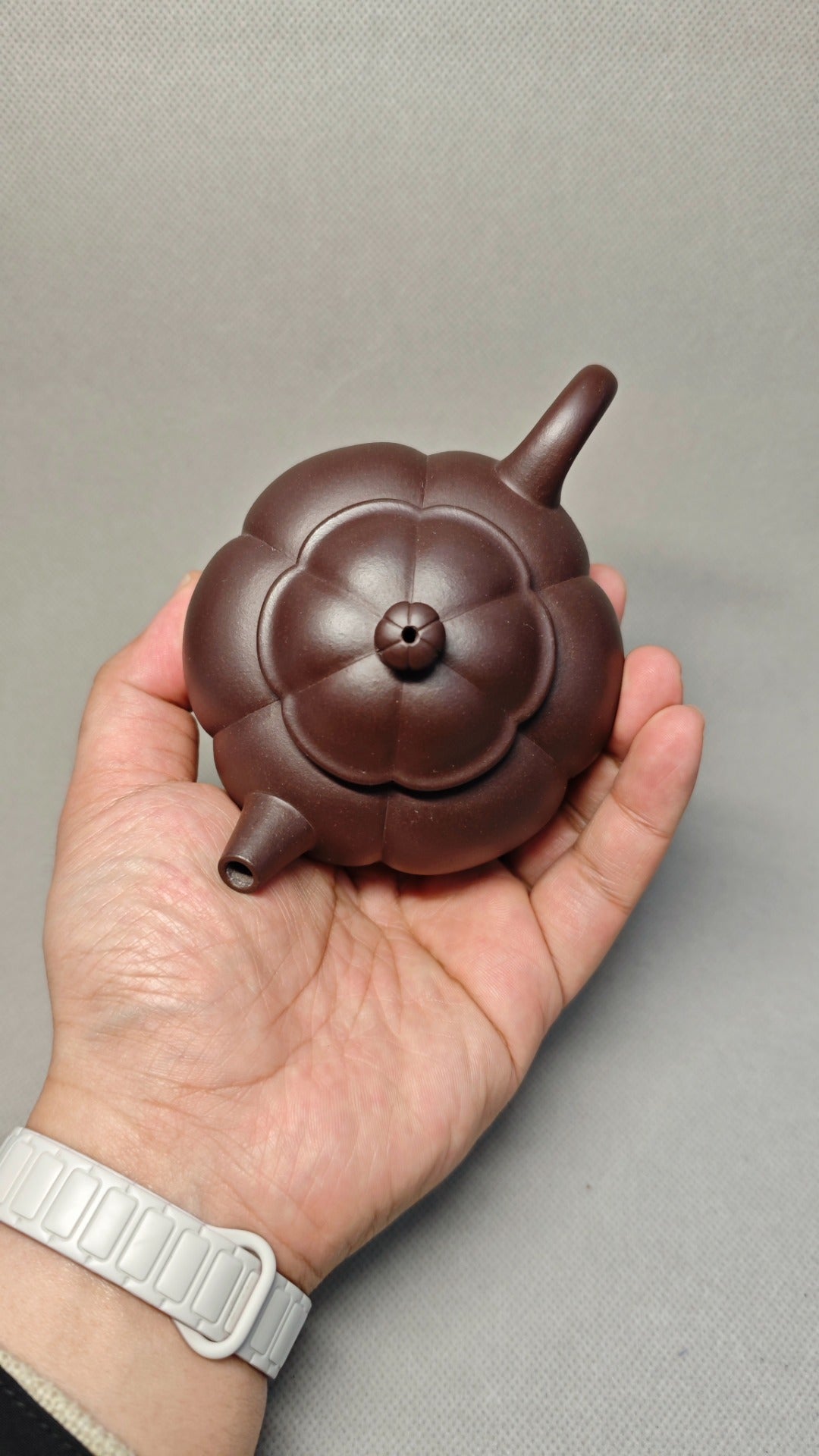 证书全配套 【海棠】  制壶：焦亚强   (国家级工艺美术师) 泥料：原矿紫茄泥 容量：240cc  孔数：7孔