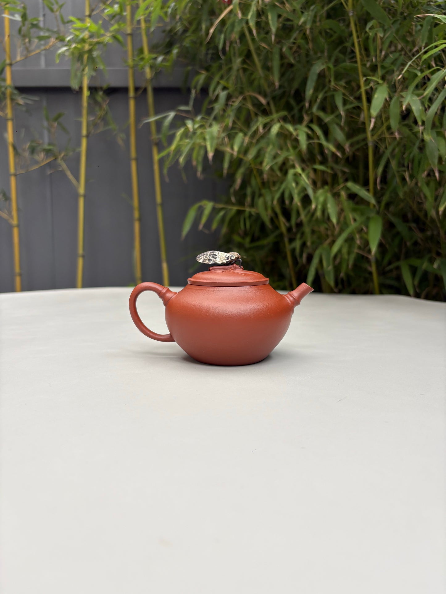 陈真藏品·真工妙造 紫砂界原创仿生花器佼佼者·巅峰之作《竹逸壶》原矿极品朱泥·180cc