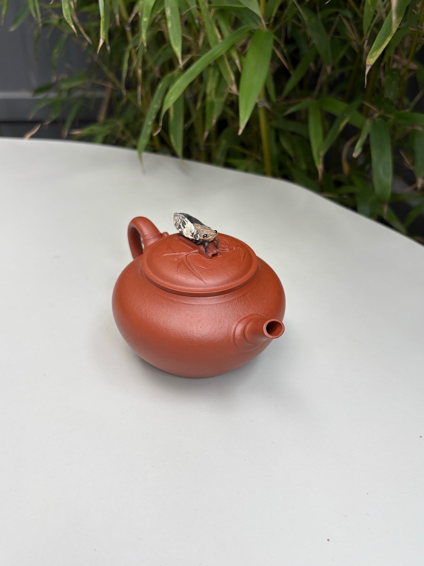 陈真藏品·真工妙造 紫砂界原创仿生花器佼佼者·巅峰之作《竹逸壶》原矿极品朱泥·180cc