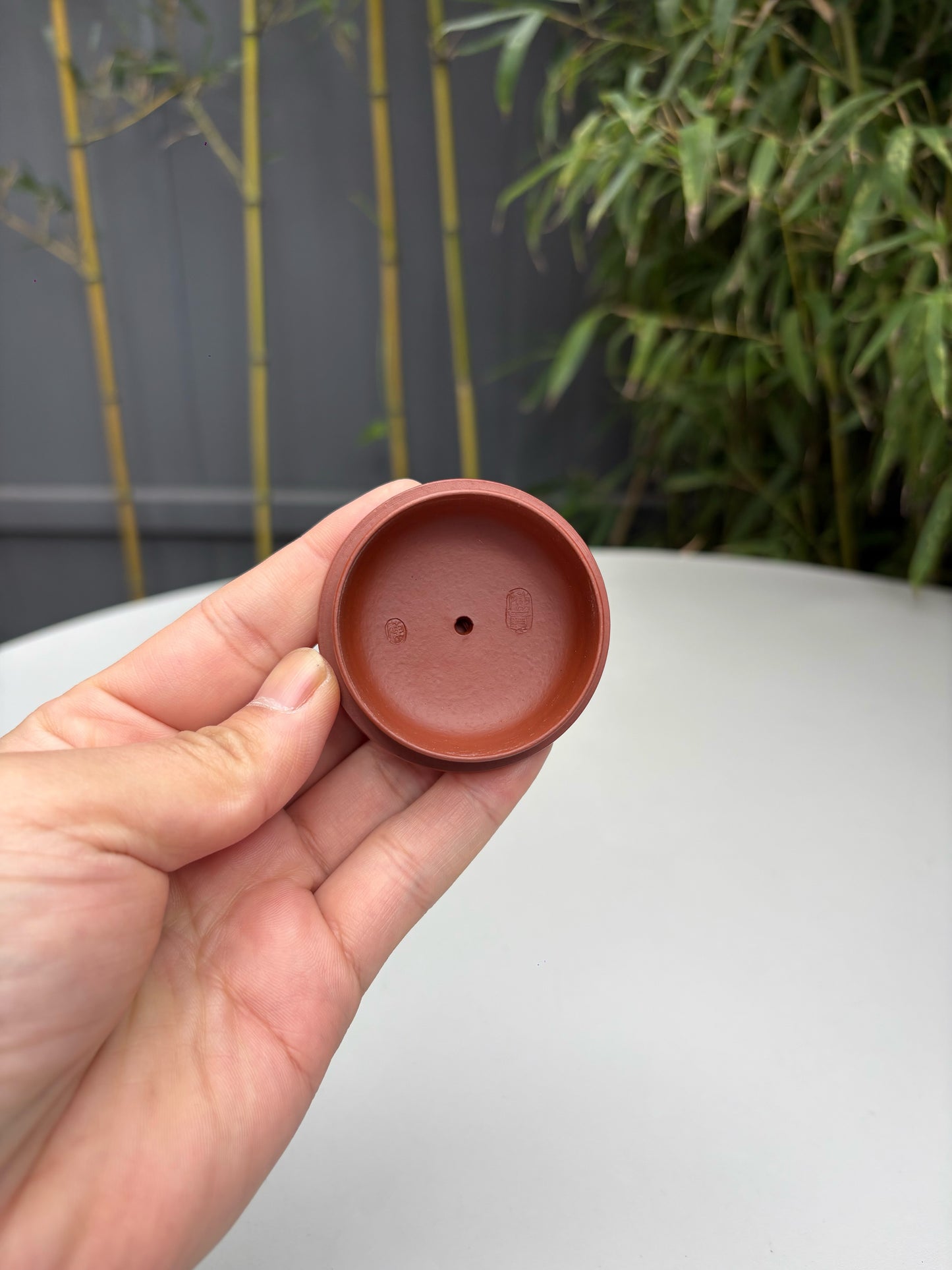 陈真藏品·真工妙造 紫砂界原创仿生花器佼佼者·巅峰之作《竹逸壶》原矿极品朱泥·180cc