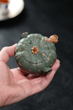 南瓜手抓壶 ｜【传统手制·仿生器·内胎降坡泥壶身粉浆绿泥·170cc 民间实力派】