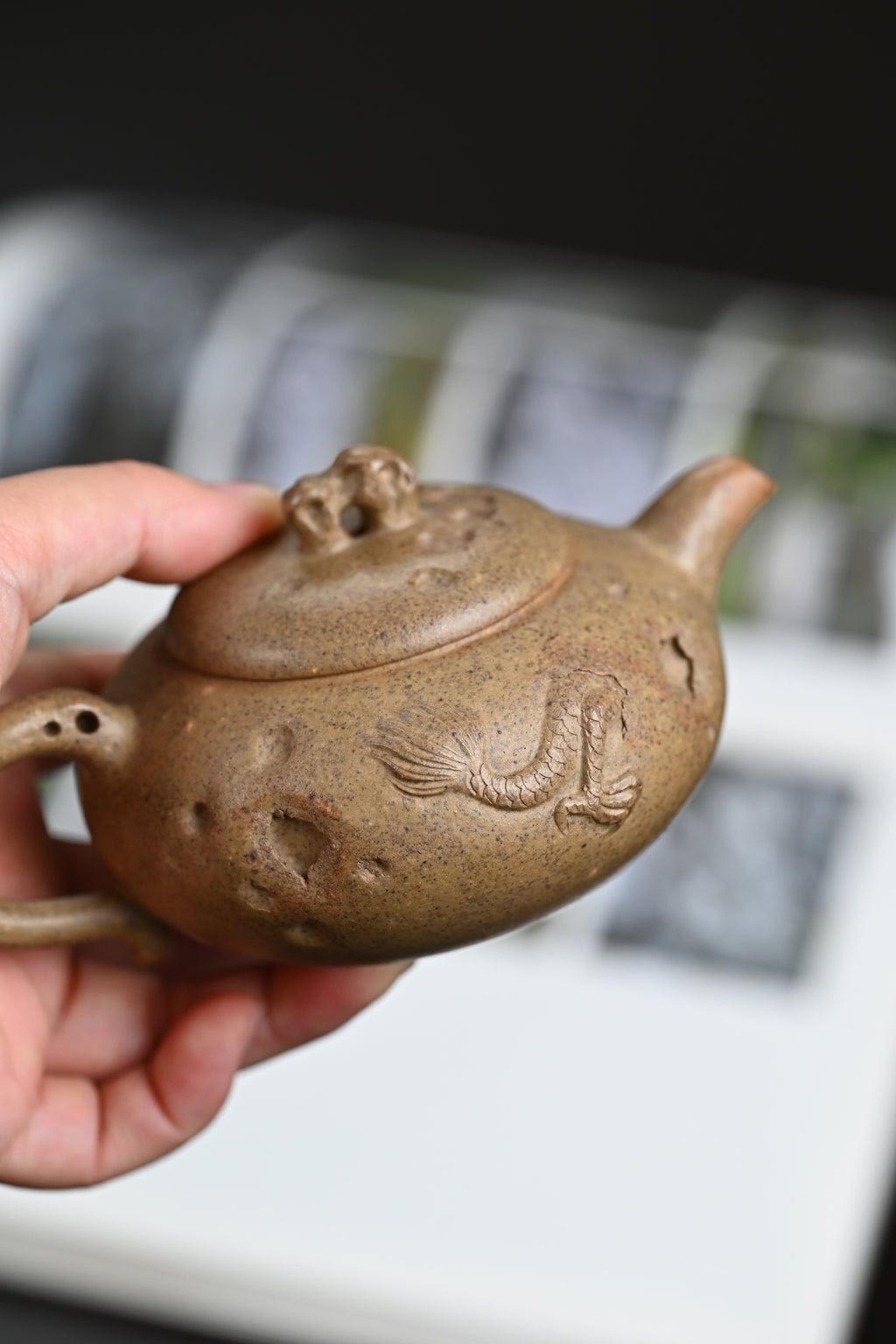 双研高 『隐龙·供春』 芝麻段·柴烧·容量200cc·9孔出水·内推·王岳龄·国家级正高级工艺美术师