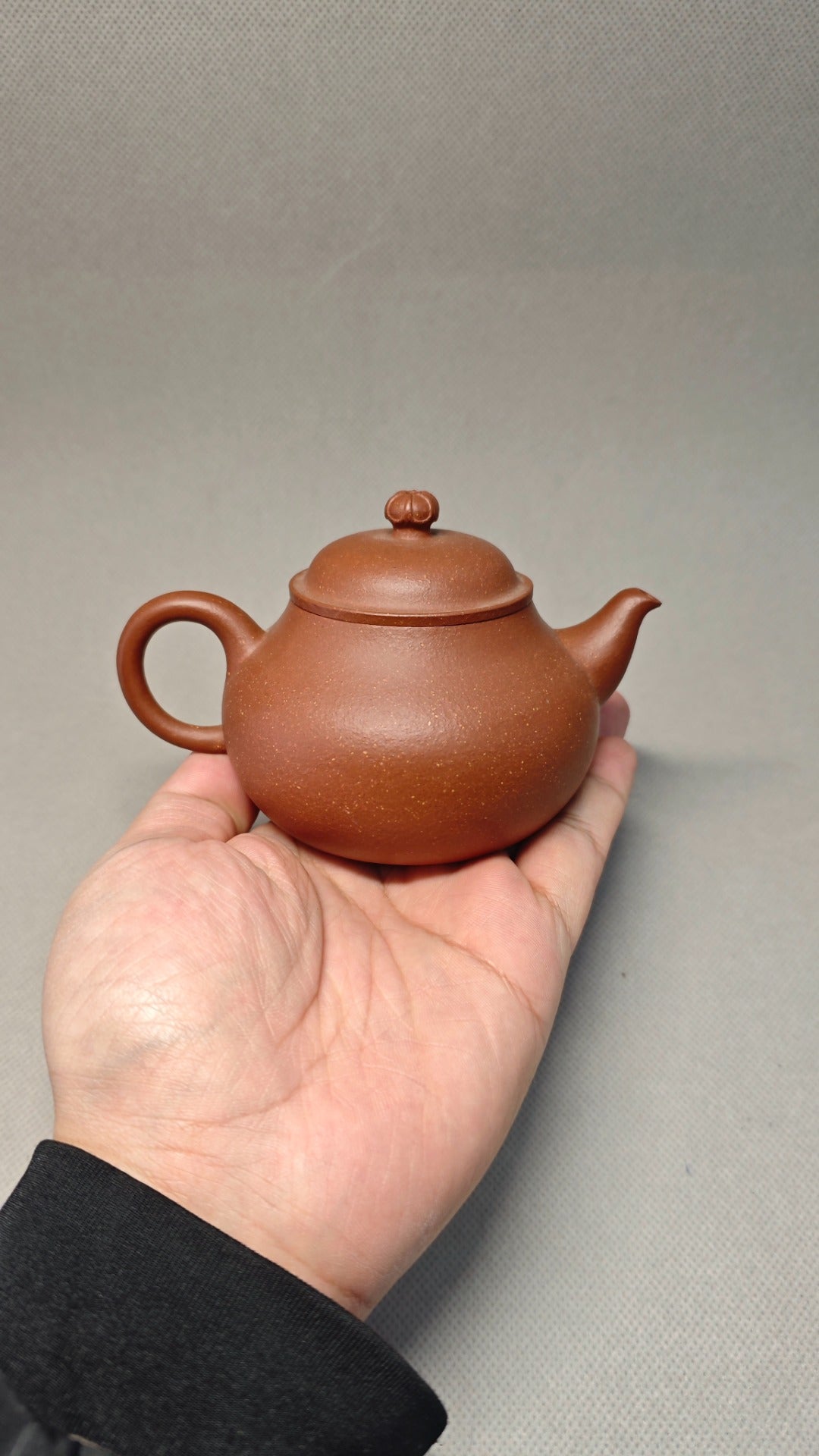 【秋水】 制壶：许响新（国家级助理工艺美术师） 泥料：原矿降坡泥 容量：180cc