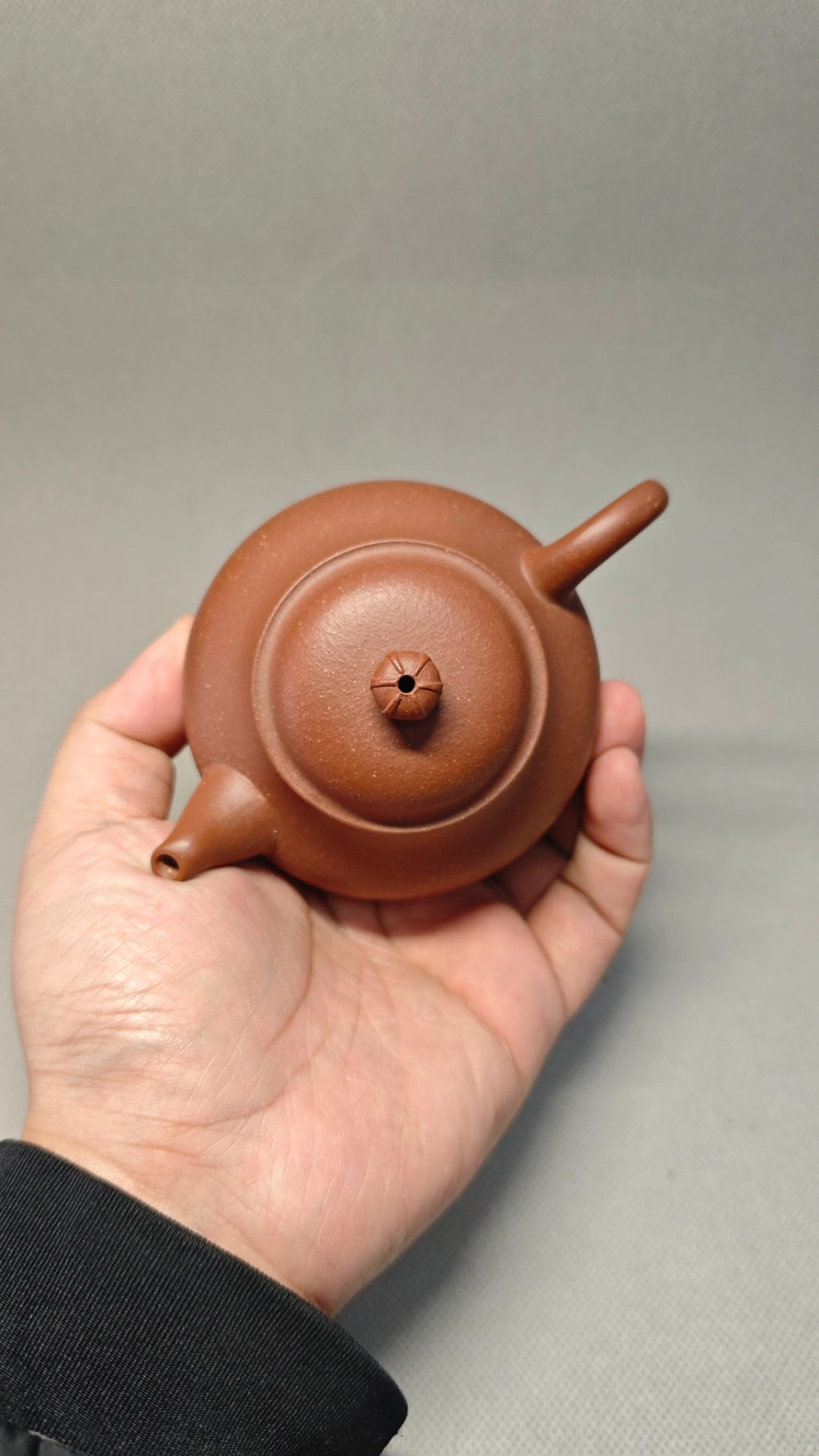【秋水】 制壶：许响新（国家级助理工艺美术师） 泥料：原矿降坡泥 容量：180cc