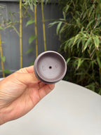 郑求标大师｜双心经至尊藏品·大拍9.7万同款➕金奖➕馆藏《心经半月壶》原矿极品天青泥·320cc