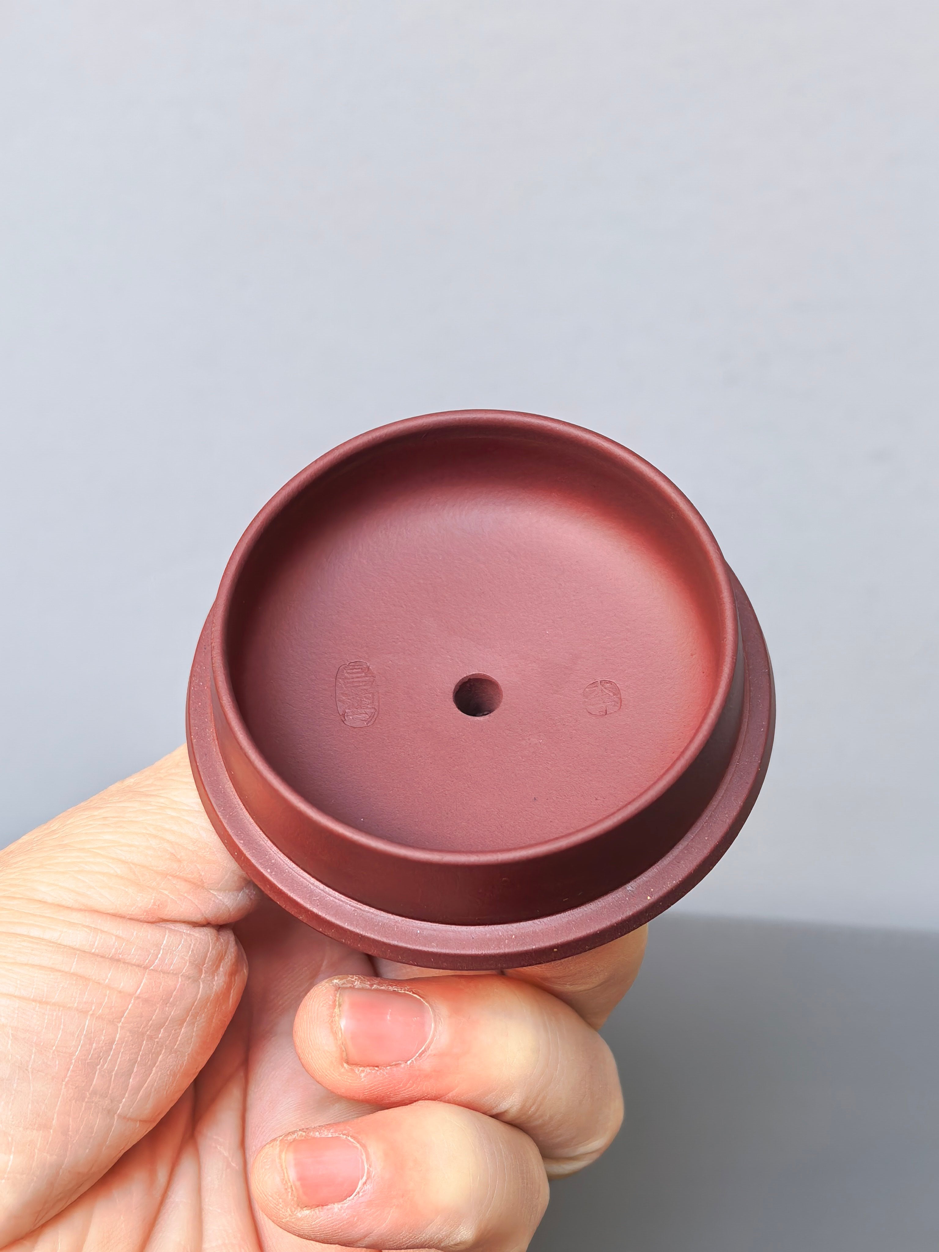 顾景舟大师高徒·双国大师李昌鸿之作【朱雀壶】原矿优质龙血砂·550cc