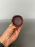 原矿优质紫砂·特色黄金紫晶贝壳烧《步步高升壶》原矿极品紫泥·280cc 著名紫砂艺术家·王葛荣·制