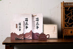 《龙行天下》 国家级高级工艺美术师 蒋亚平 原矿文革老紫泥，280cc，菱形9孔出水