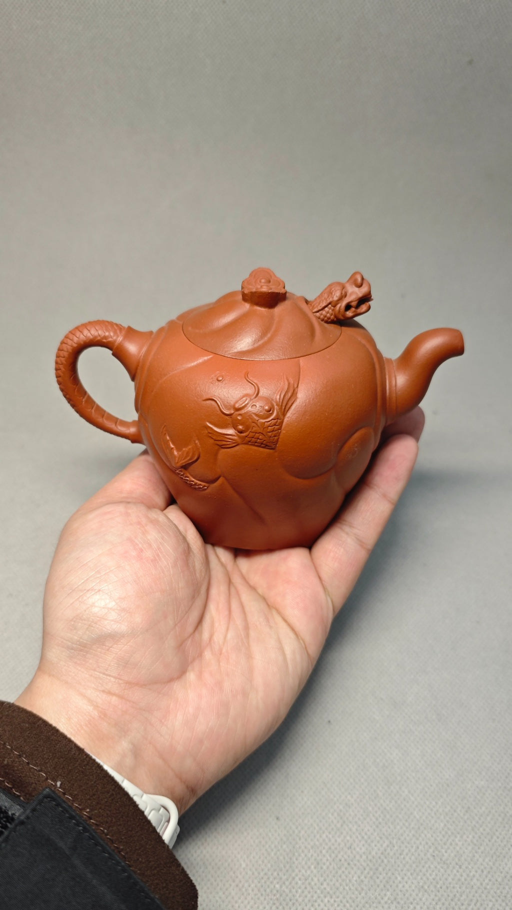 【混方鱼化龙】 制壶：杨军保（国家级工艺美术师） 泥料：原矿朱泥 容量：300cc