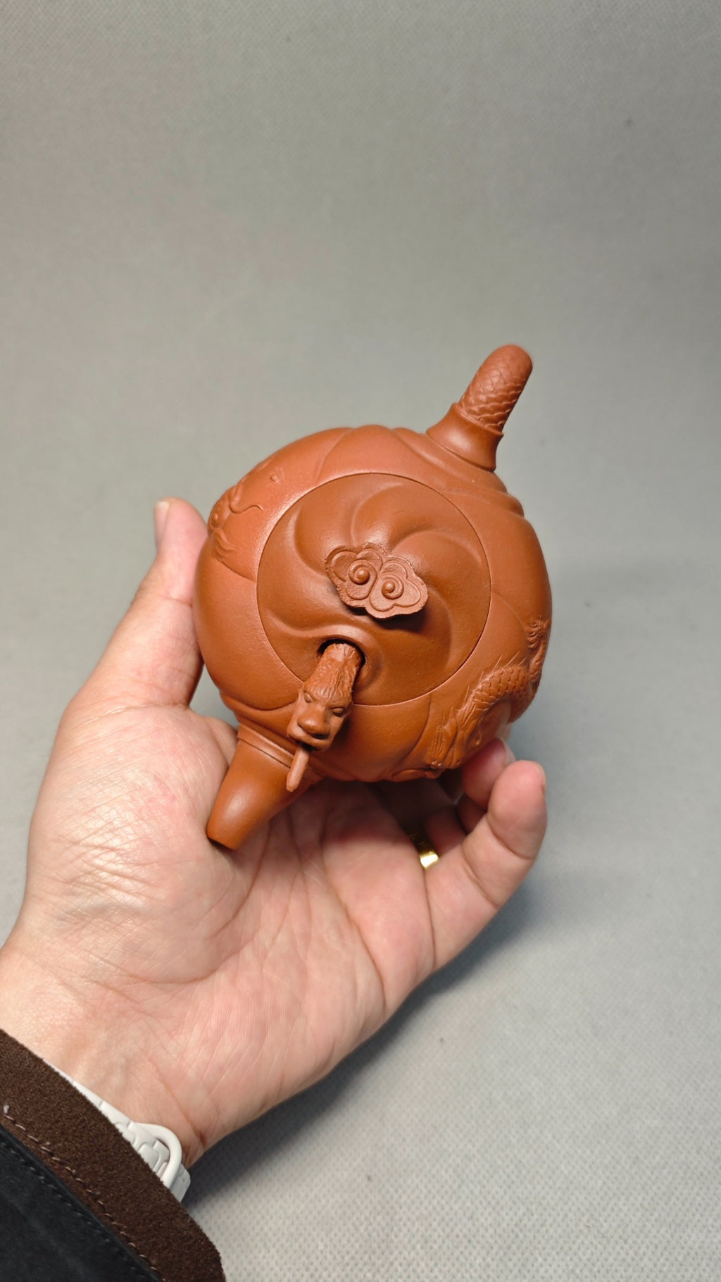 【混方鱼化龙】 制壶：杨军保（国家级工艺美术师） 泥料：原矿朱泥 容量：300cc