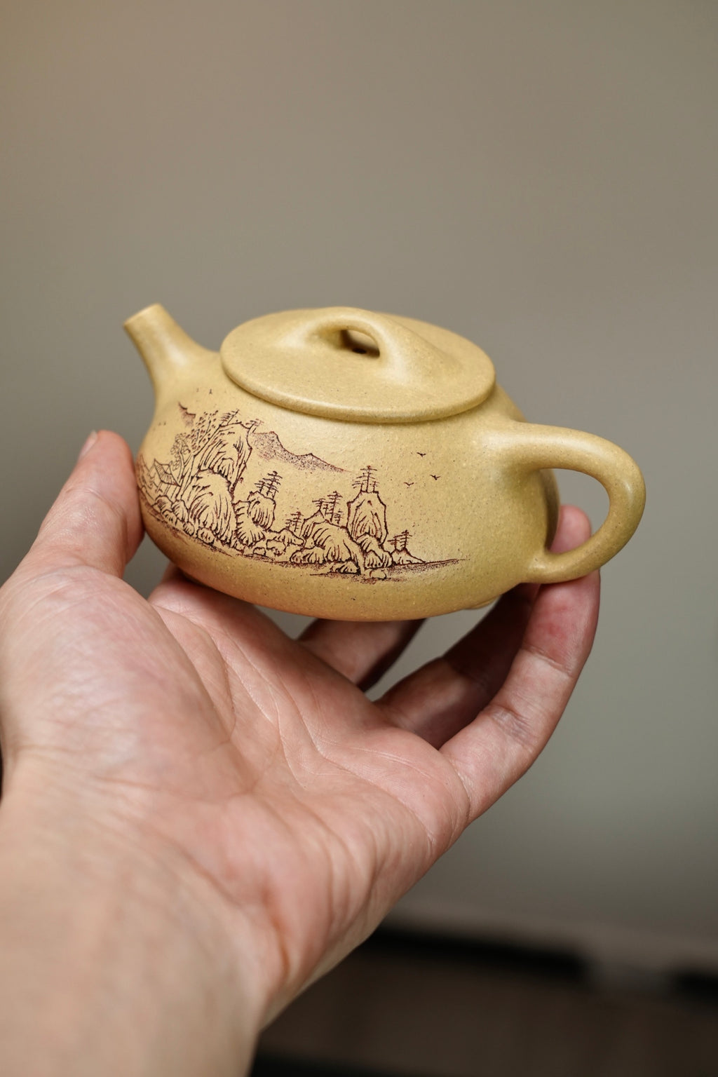 【景舟·石瓢】 原矿极品本山绿·200cc·内推孔