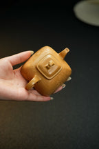 孤菱·经典把玩·130cc 原矿顶级黄金段 出彩润泽